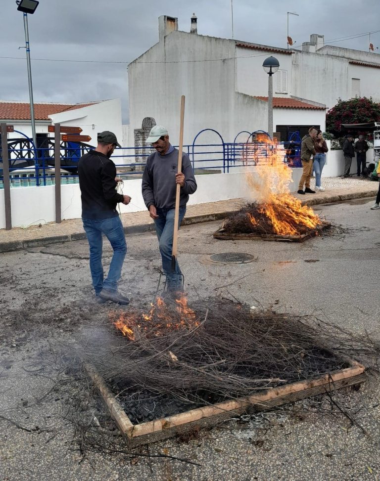 magusto-popular-alferce-2025-2