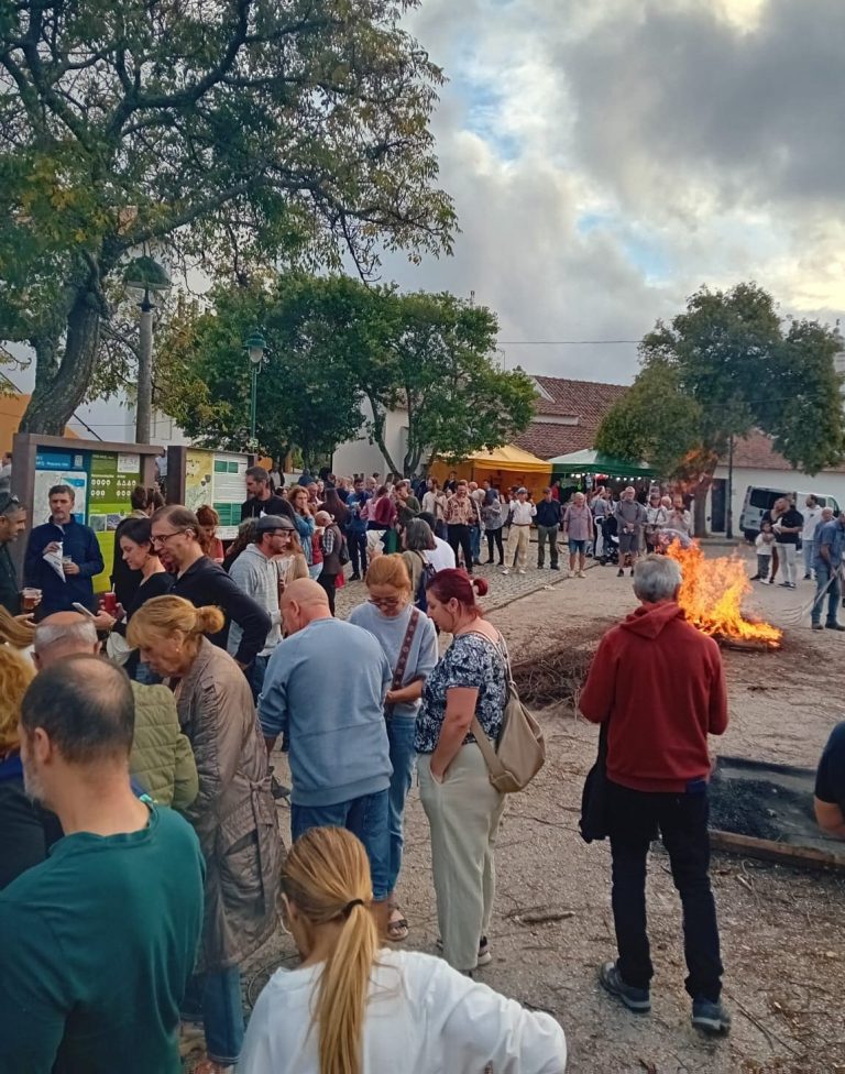 magusto-popular-alferce-2025-3